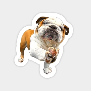 Bulldog Shake Shake Paws! Sticker